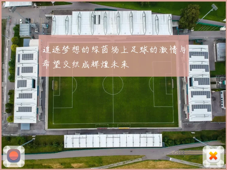 追逐梦想的绿茵场上足球的激情与希望交织成辉煌未来